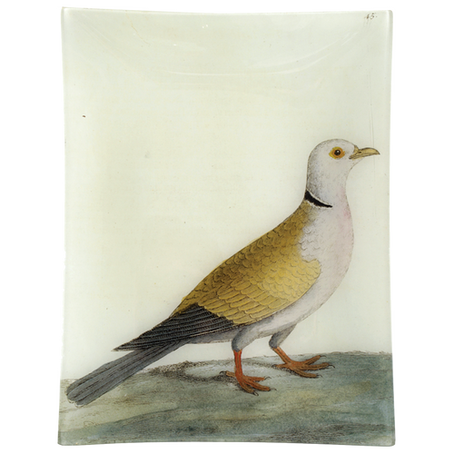 john derian #6 - Turtle Dove 10" x 13" Rect. Tray