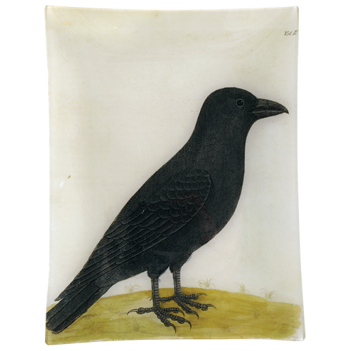 john derian #8 - Raven (Right) 10" x 13" Rect. Tray