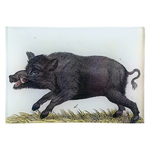 john derian A Boar 4.5 x 6.5" Mini-Tray