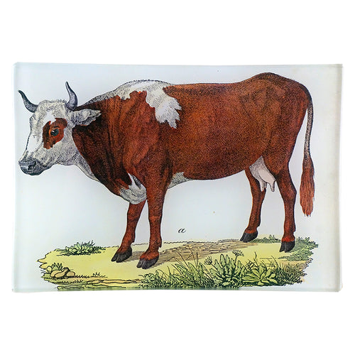 john derian A Cow 4.5 x 6.5" Mini-Tray