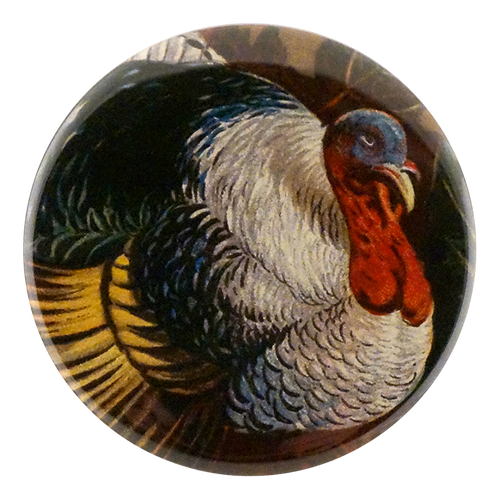 john derian A Happy Thanksgiving Mirror & Pin