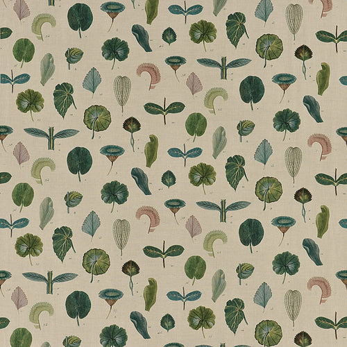 john derian A Leaf Study Linen Fabric