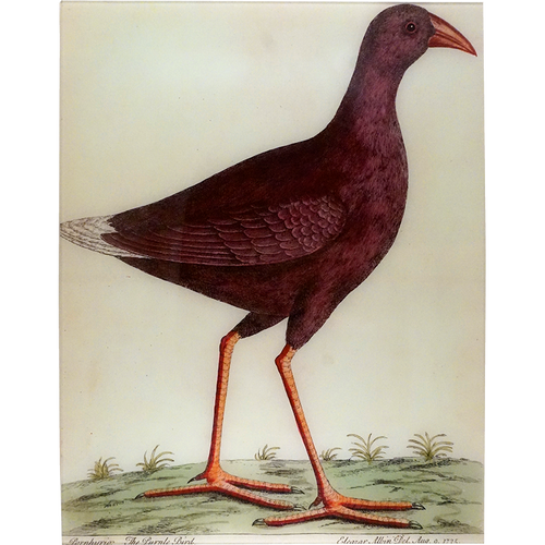 john derian A Purple Bird 17 x 22" Rect. Tray