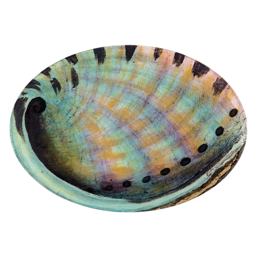 john derian Abalone (Inside) 7 x 10" Oval