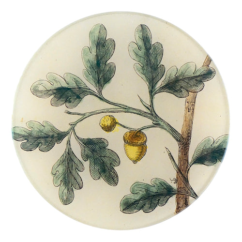 john derian Acorns (Titmouse) 5 1/4" Round Plate