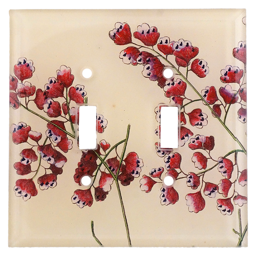 john derian Adianthum Double Switch Cover