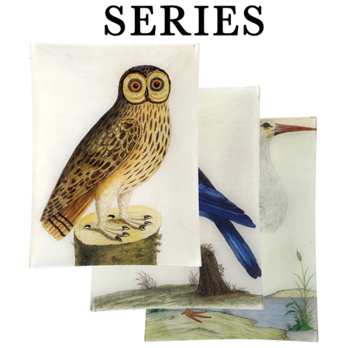 john derian Albin's Birds 10 x 13" Rect. Tray