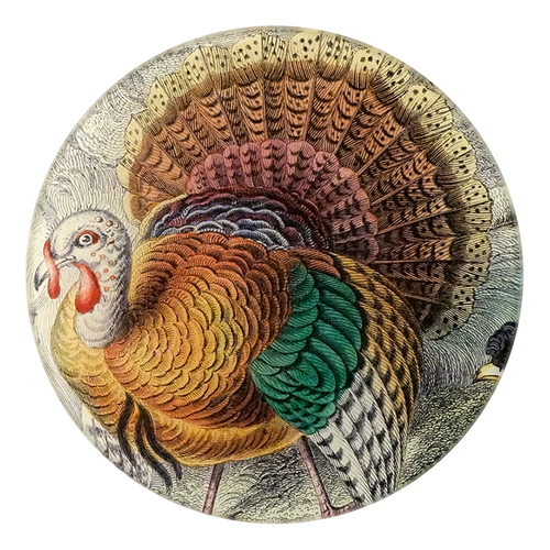 john derian American Wild Turkey 5 1/4" Round Plate