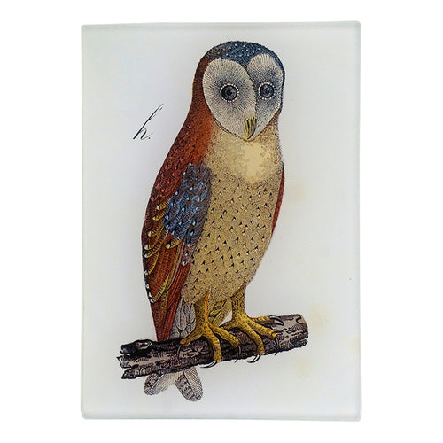 john derian An Owl 3.5 x 5" Tiny Rect. Tray