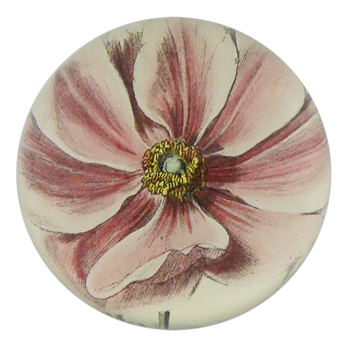 john derian Anemone Japonica Dome Paperweight