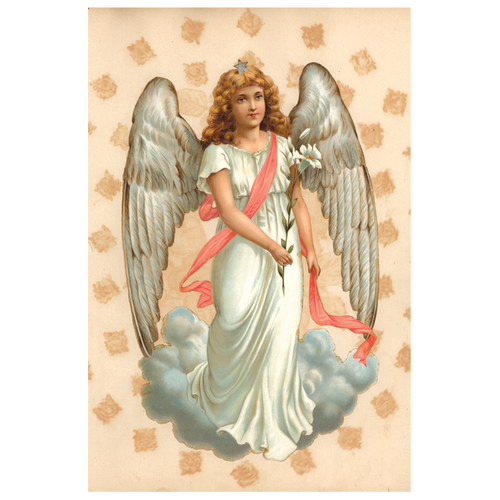 john derian Angel Carte Grande