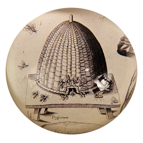 john derian Apiarum (Beehive) Dome Paperweight