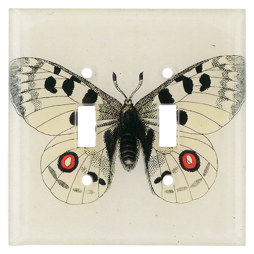 john derian Apollo Butterfly Double Switch Cover