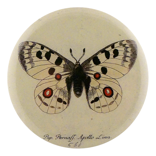 john derian Apollo Butterfly Mirror & Pin