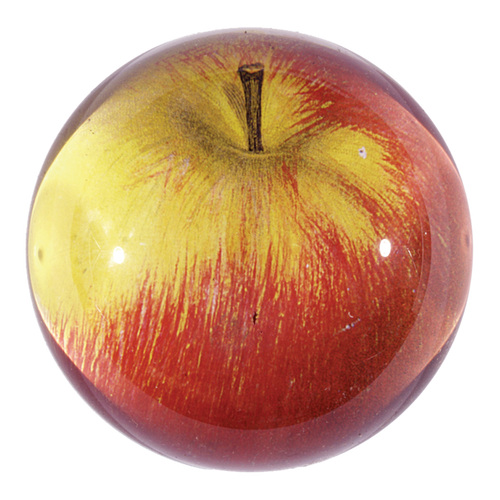 john derian Apple (Red) Dome Paperweight