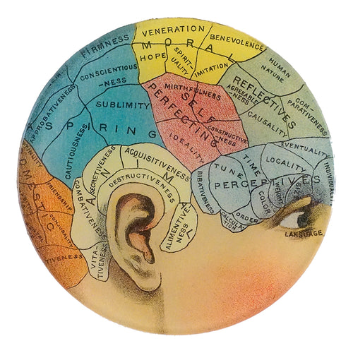 john derian Aspiring 5 1/4" Round Plate