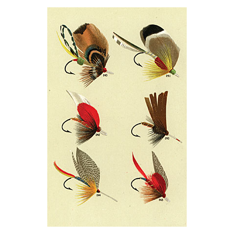 john derian Bass Flies #240 Postcard (Pack of 10)