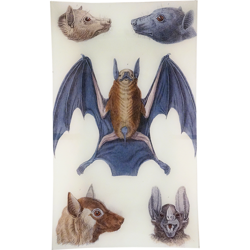 john derian Bats 4 12 x 20" Rect. Tray