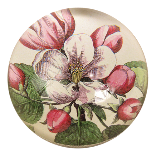 john derian Beach Rose Dome Paperweight