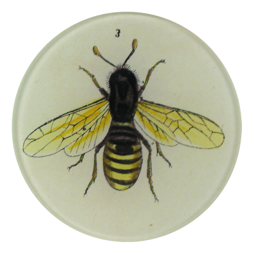 john derian Bee 3 4" Round Plate
