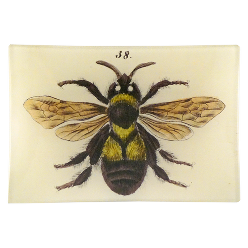john derian Bee 38 4.5 x 6.5" Mini-Tray