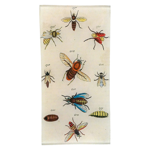 john derian Bees & Bugs 4 x 9" Rect. Tray