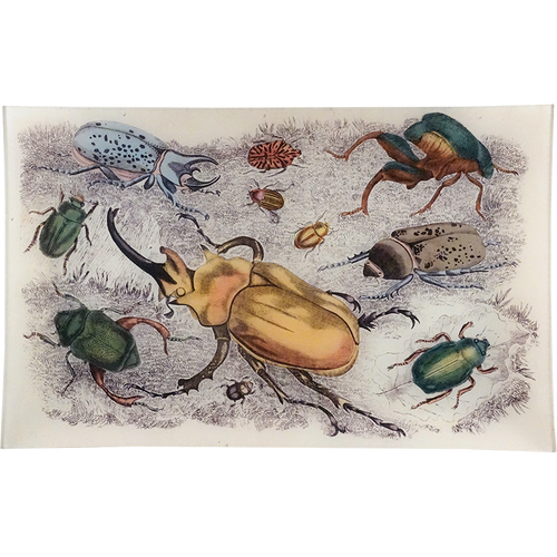 john derian Beetles 10 x 16" Rect. Tray