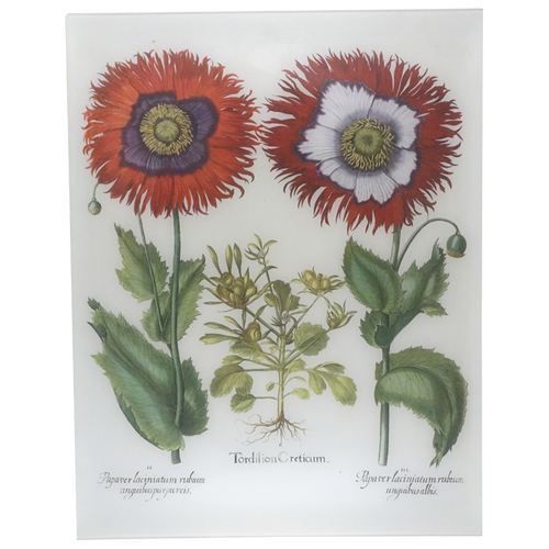 john derian Besler Poppies 17 x 22" Rect. Tray