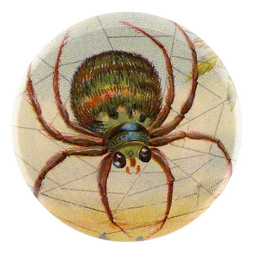 john derian Big Spider Web Mirror & Pin