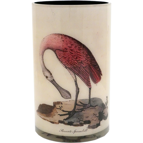 John Derian Birds 12" Cylinder Vase W/ Liner