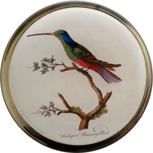 John Derian Birds 12" Cylinder Vase W/ Liner