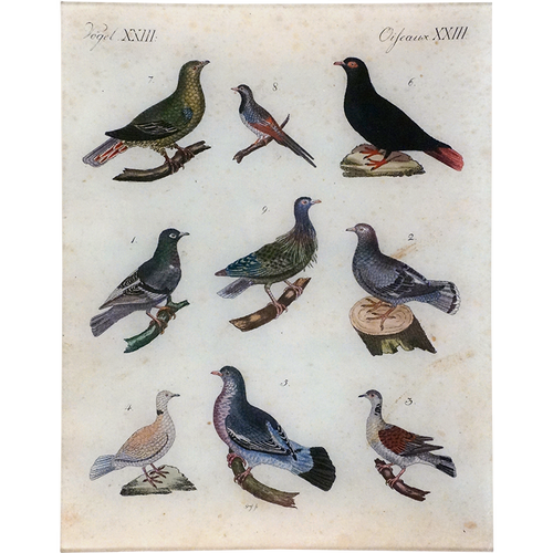 john derian Birds XXIII 11 x 14" Rect. Tray