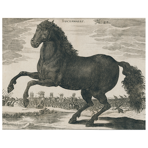 john derian Black Horse (p 269) 11" x 14" Rect. Tray