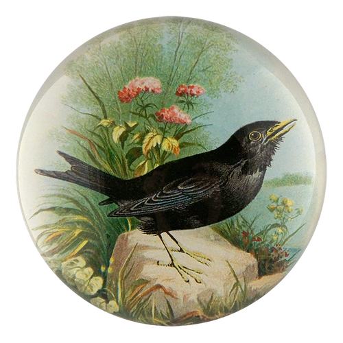 john derian Blackbird Dome Paperweight