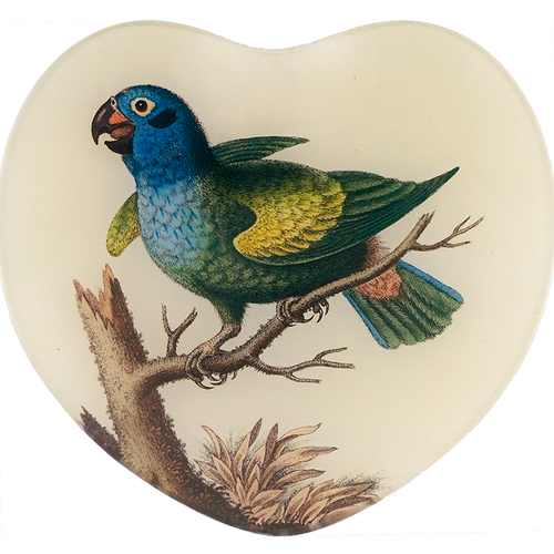 john derian Blue Headed Parrot 8" Heart Dish
