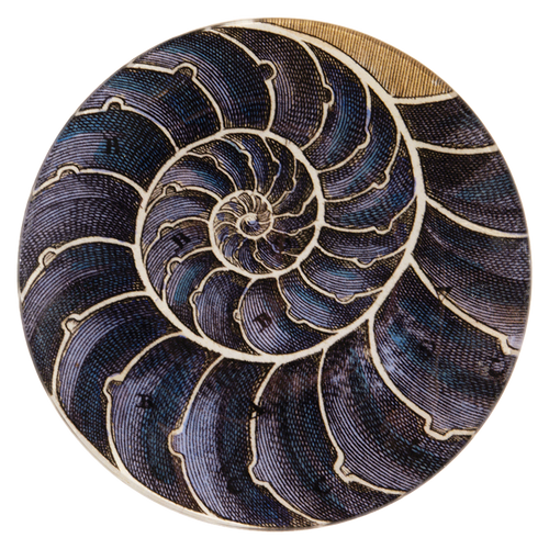 john derian Blue Nautilus 7" Round Plate