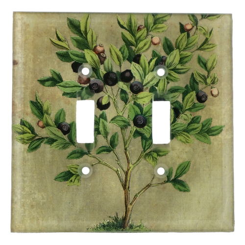 john derian Blueberries Double Switch Cover