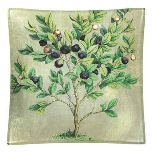 john derian Blueberries Un Vide Poche (6" Square)