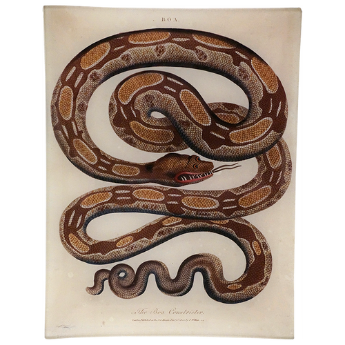 john derian Boa 8 x 10.5" Rect. Tray