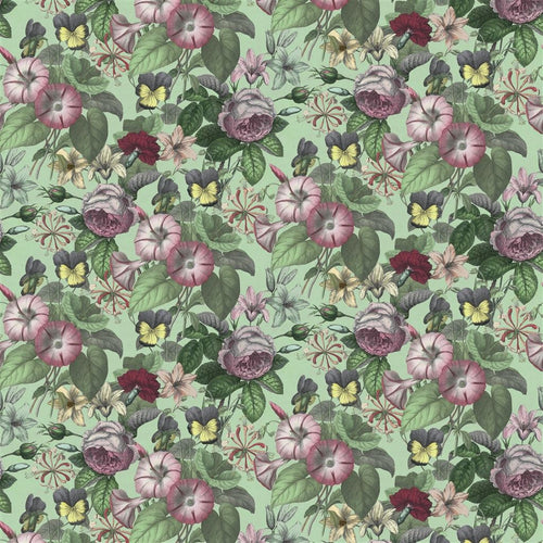 john derian Botanical Flowers Sage Fabric