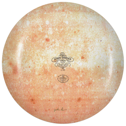 John Derian Branches 16" Round Plate