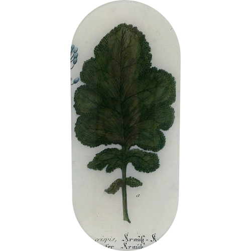 john derian Brassica A 6 x 12" Oblong Tray