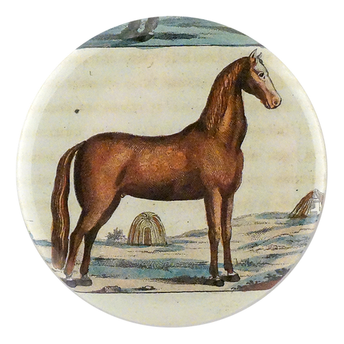 john derian Brown Horse 5 Mirror & Pin