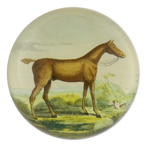john derian Brown Horse Dome Paperweight