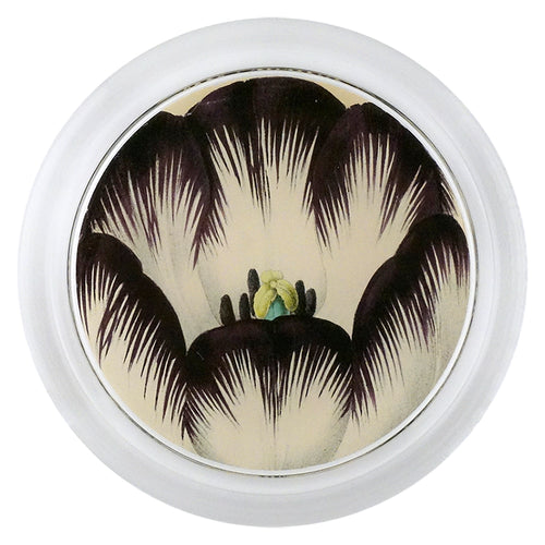 john derian Brown White Tulip 6" Coaster