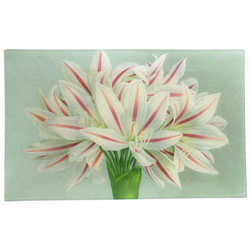 john derian Brunswigia Massaiana 10 x 16" Rect. Tray