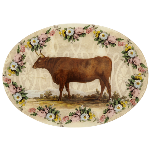 john derian Bulls & Oxen (#2) 13 x 18" Oval