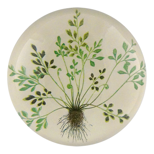 john derian Buta-muraria Dome Paperweight