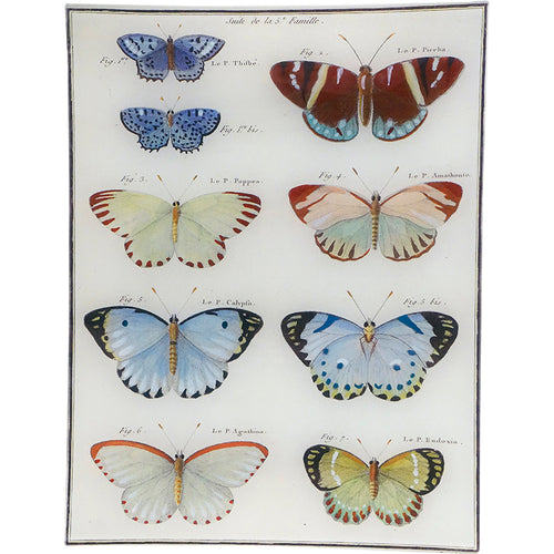 john derian Butterflies 16 10 x 13" Rect. Tray