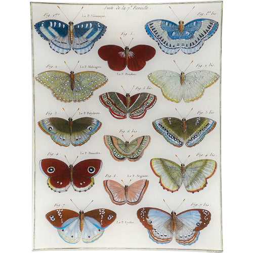 john derian Butterflies 31 10 x 13" Rect. Tray